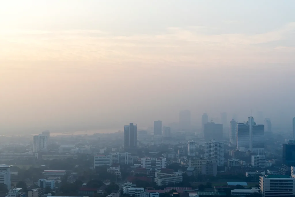 ฝุ่น PM 2.5 คืออะไร?